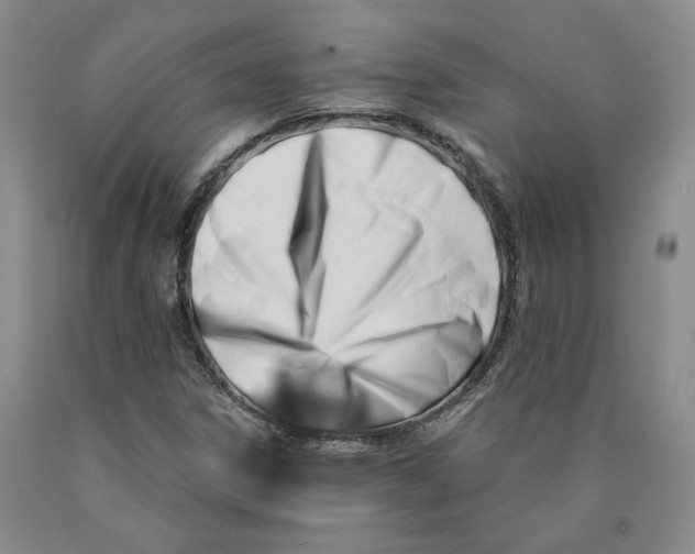 X0000089911306200707271706