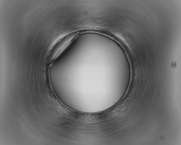 X0000089911307200707271706