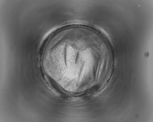 X0000089911310200707271706