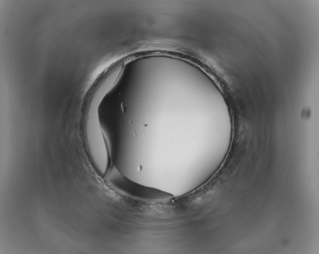 X0000089911312200707271706