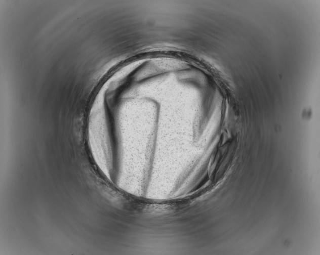 X0000089911313200707271706