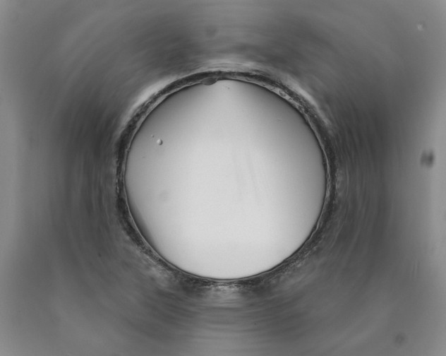 X0000089911315200707271706