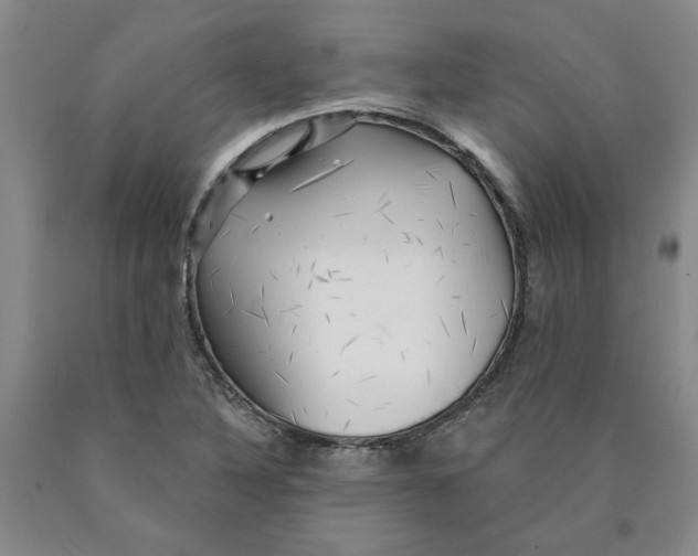 X0000089911316200707271706
