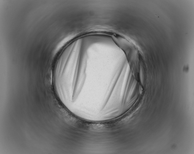 X0000089911317200707271706