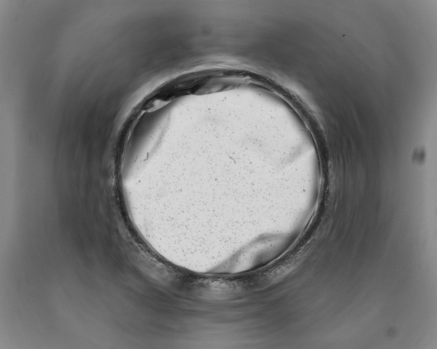 X0000089911318200707271706