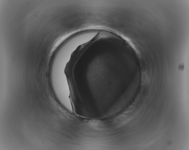 X0000089911319200707271706