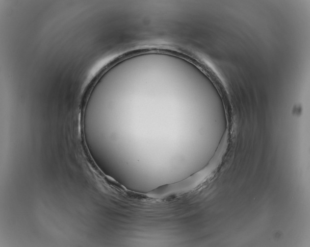 X0000089911320200707271706