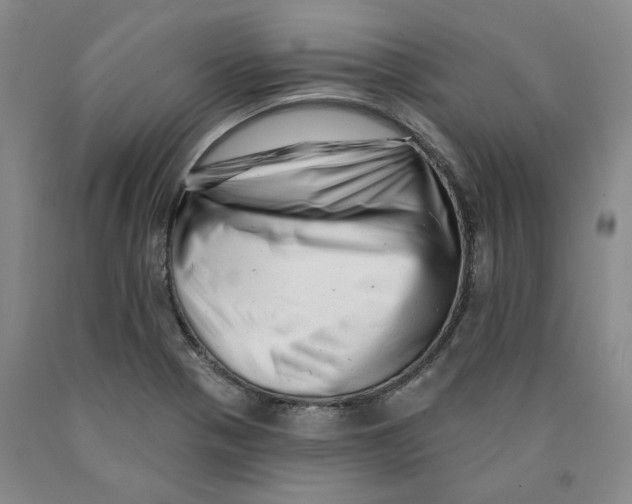 X0000089911321200707271706