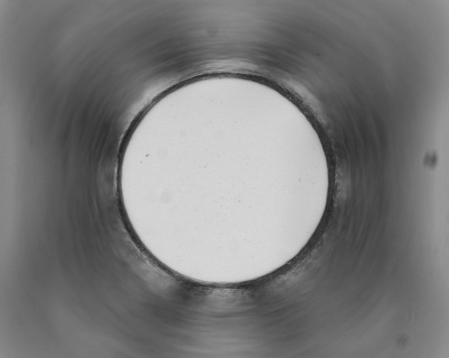 X0000089911322200707271706