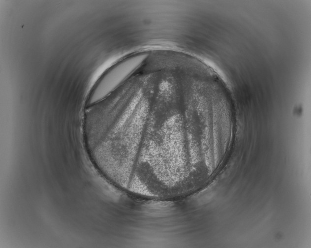 X0000089911325200707271706