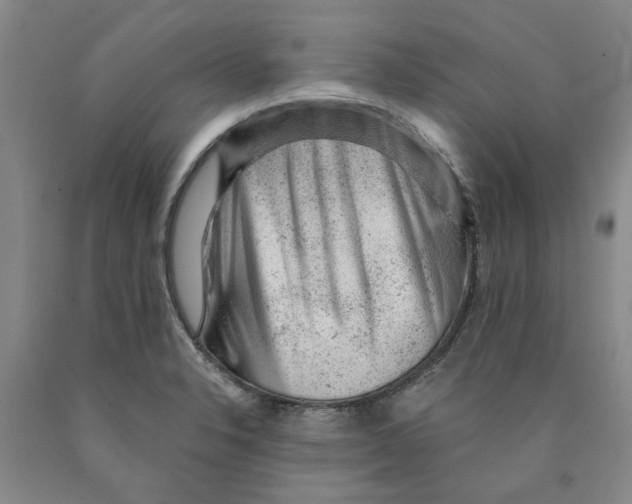 X0000089911326200707271706