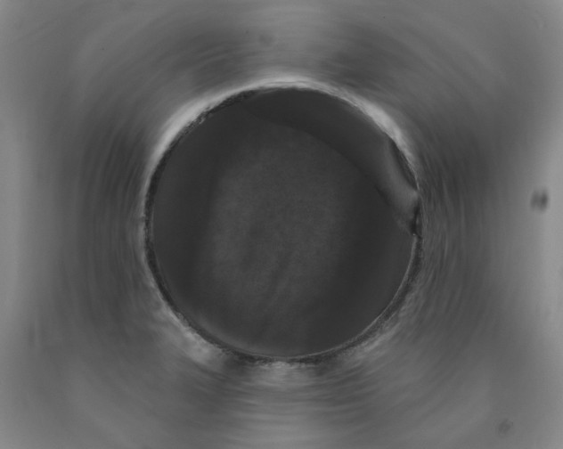 X0000089911327200707271706