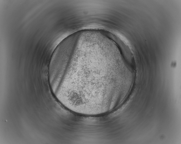 X0000089911329200707271706