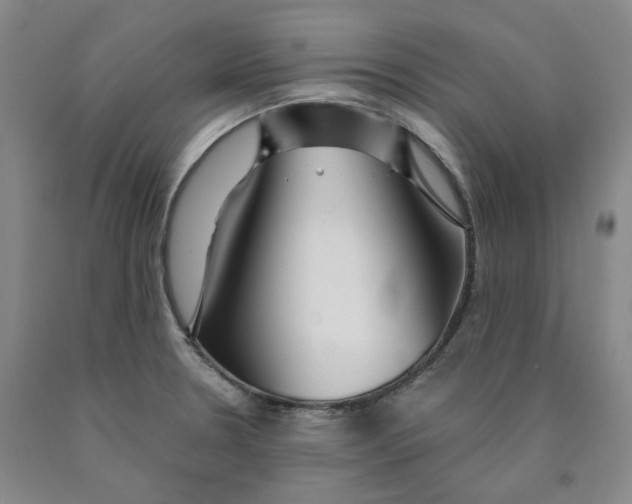 X0000089911330200707271706