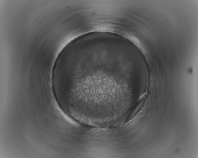 X0000089911331200707271706