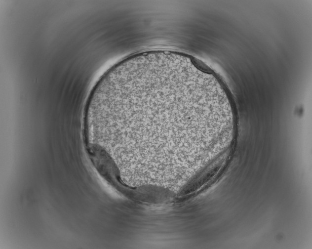 X0000089911333200707271706