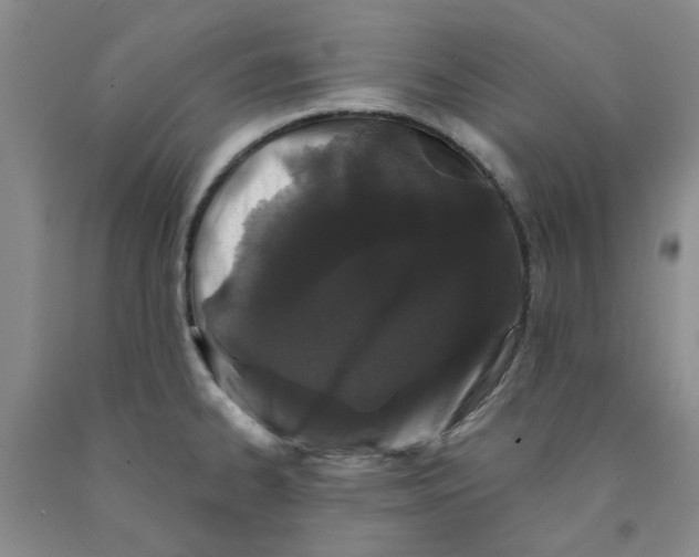 X0000089911334200707271706