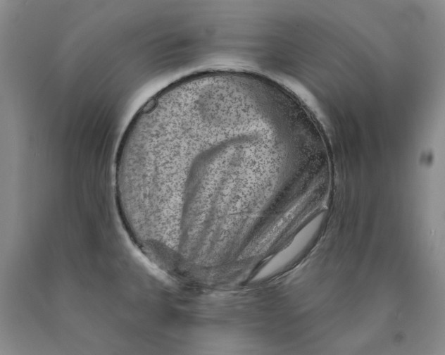 X0000089911335200707271706