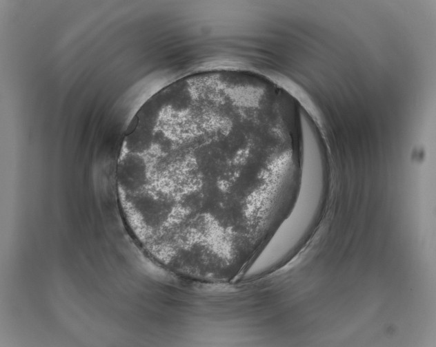 X0000089911337200707271706