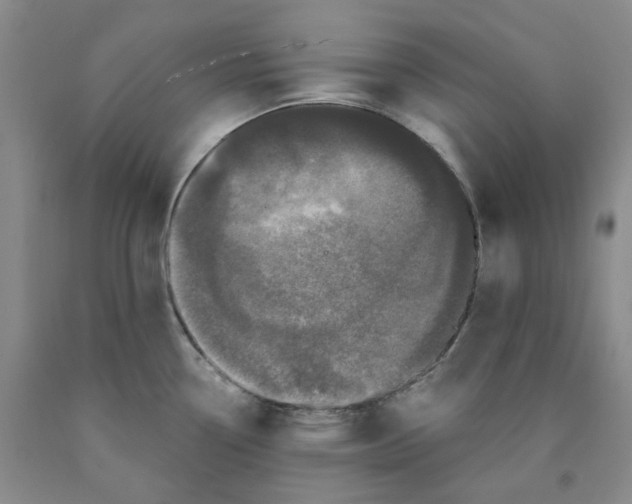 X0000089911338200707271706