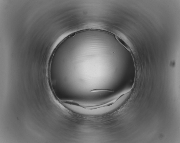 X0000089911339200707271706