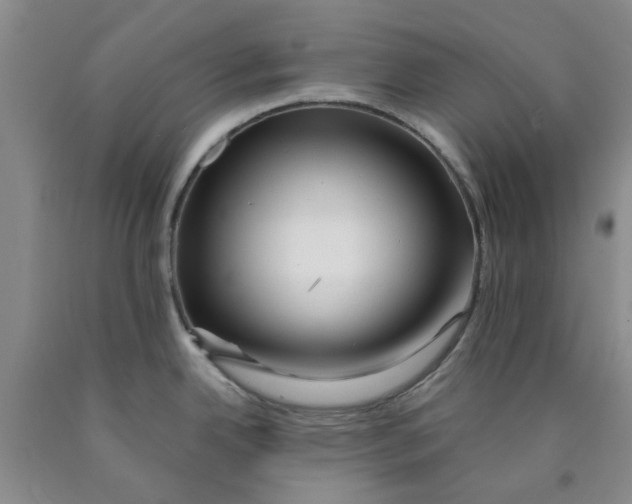 X0000089911342200707271706