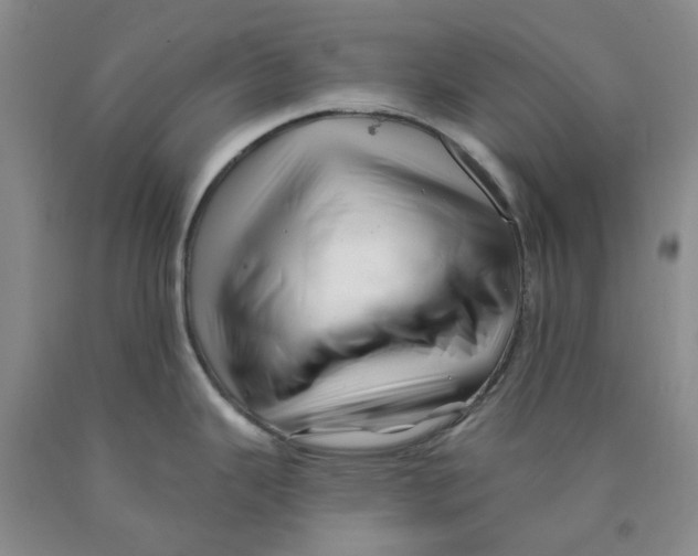 X0000089911343200707271706