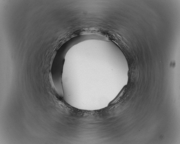 X0000089911345200707271706