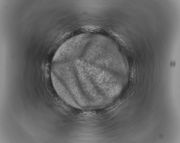 X0000089911346200707271706