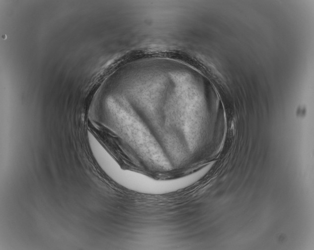 X0000089911348200707271706