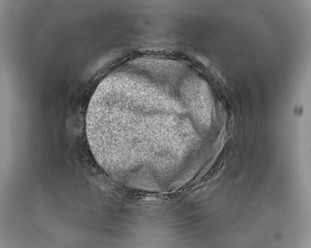 X0000089911350200707271706