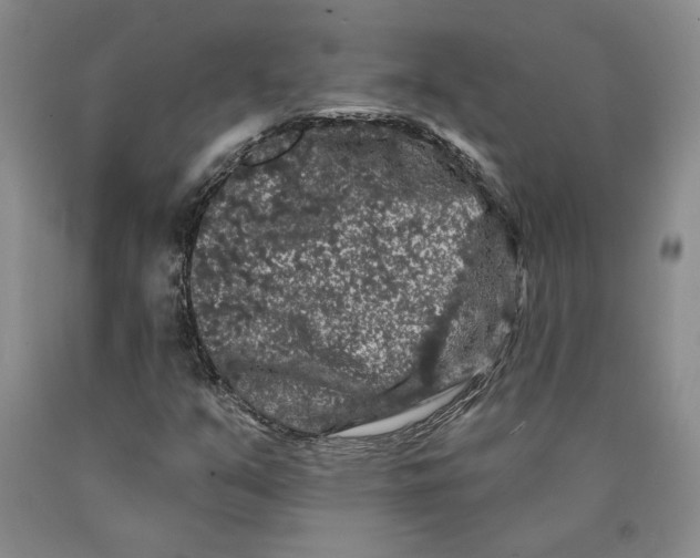 X0000089911351200707271706