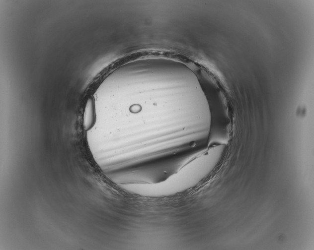 X0000089911352200707271706