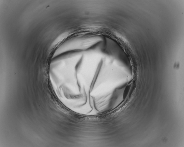 X0000089911354200707271706