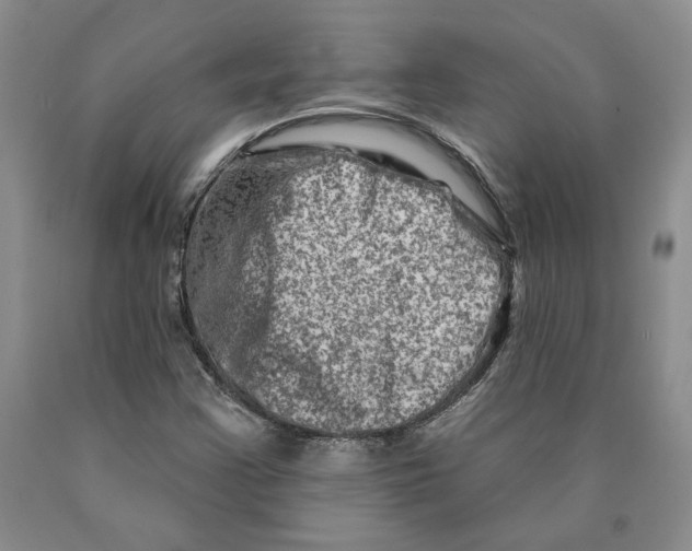 X0000089911355200707271706