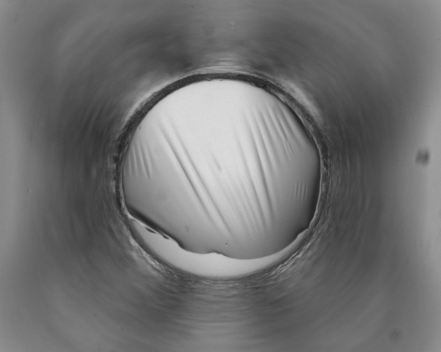 X0000089911356200707271706