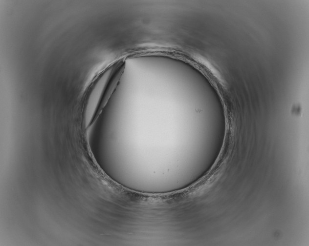 X0000089911357200707271706