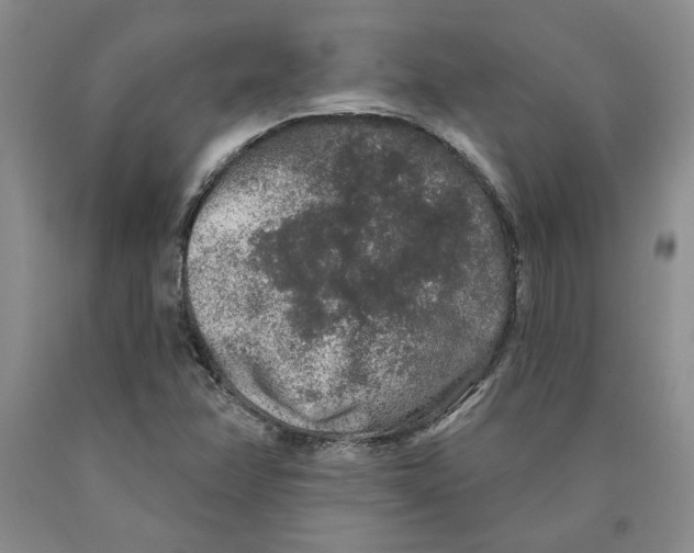 X0000089911358200707271706