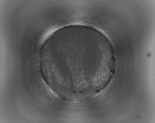 X0000089911359200707271706