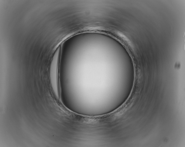 X0000089911361200707271706