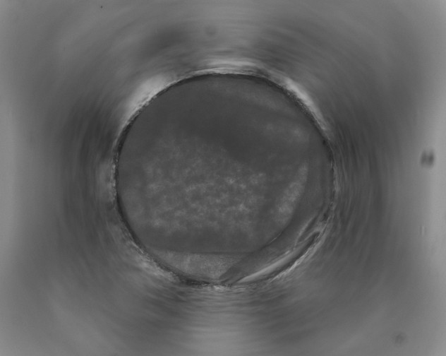 X0000089911362200707271706