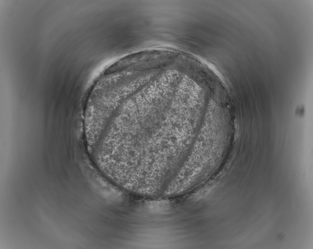 X0000089911363200707271706