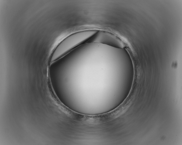 X0000089911365200707271706