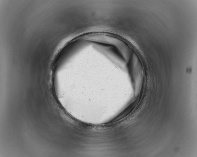 X0000089911366200707271706