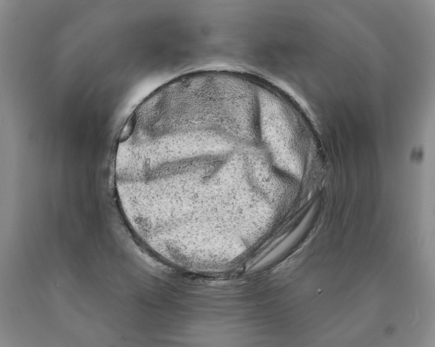 X0000089911367200707271706