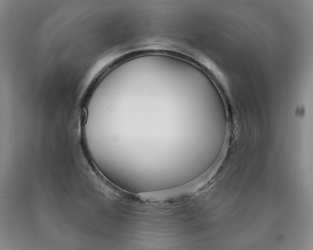 X0000089911368200707271705