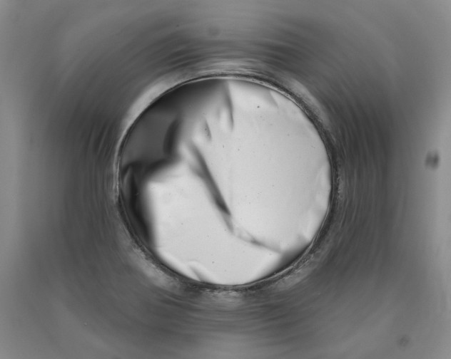 X0000089911370200707271705