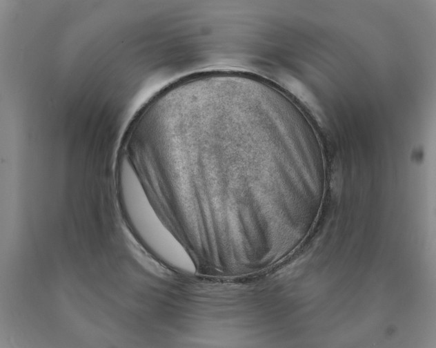 X0000089911372200707271705