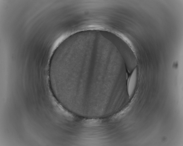 X0000089911373200707271705