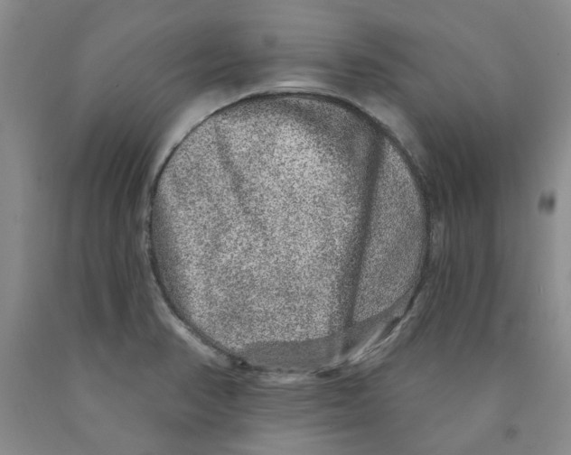 X0000089911374200707271705